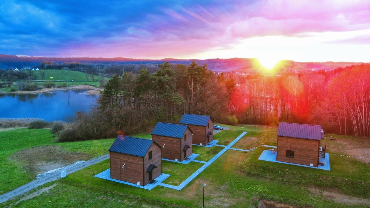 Dzikie Lisko - Apartament Z Tarasem Lesko Extérieur photo